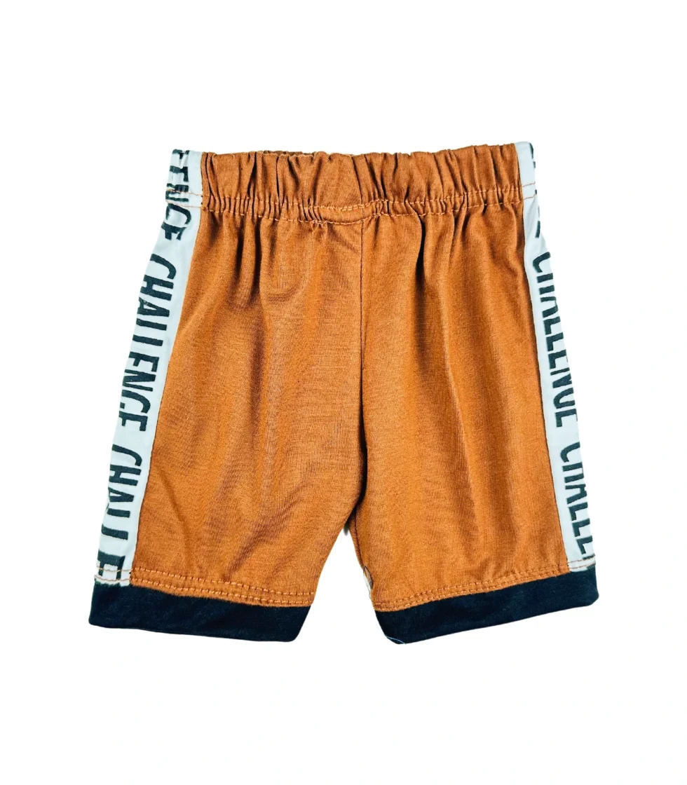 Stylish T-Shirt & Printed Short for Boys Brown